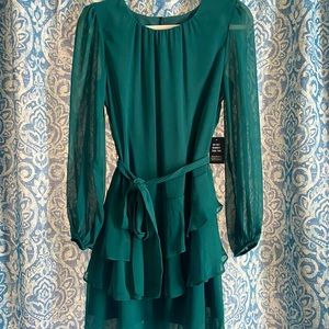 Brand new tags still attached. Express dress, dark green size small.